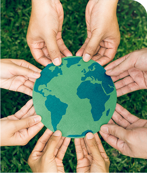 شركة هوتشو شيندينغ للاستيراد والتصدير المحدودة