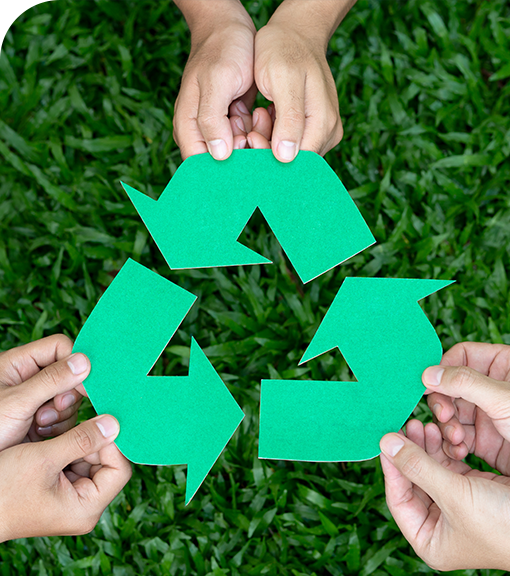 شركة هوتشو شيندينغ للاستيراد والتصدير المحدودة